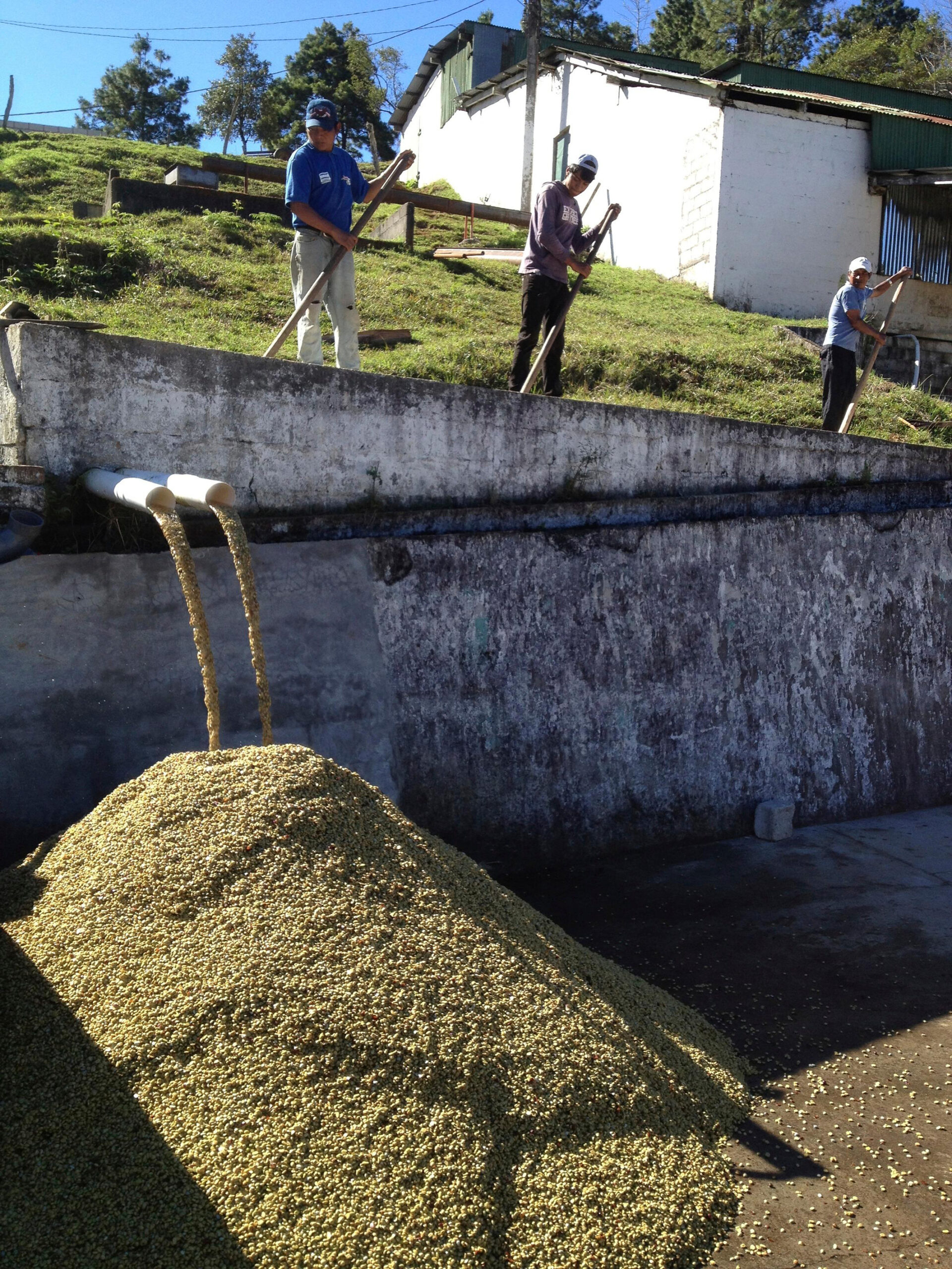 Honduras El Puente Bomba de Fruta 9