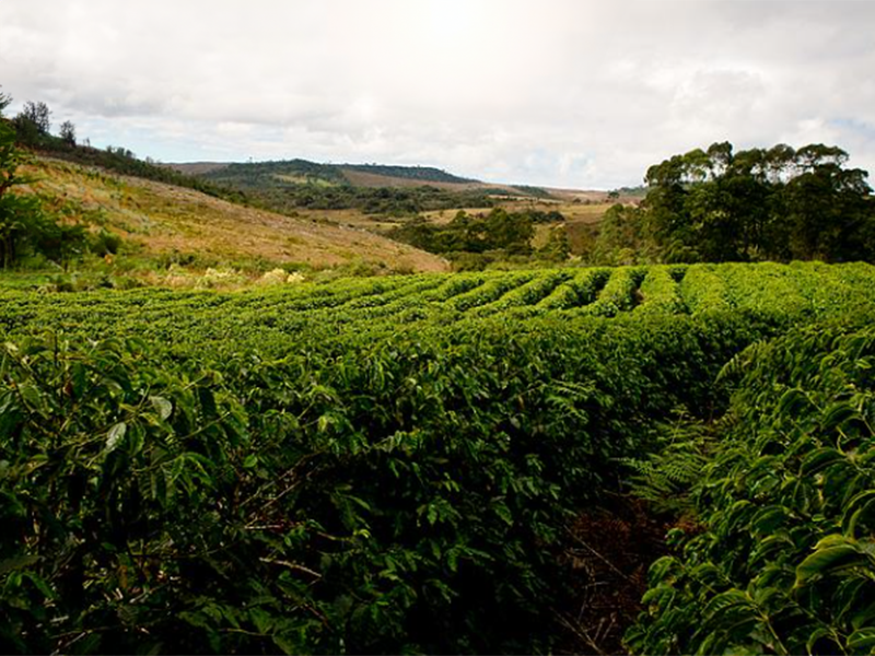 brasil_002