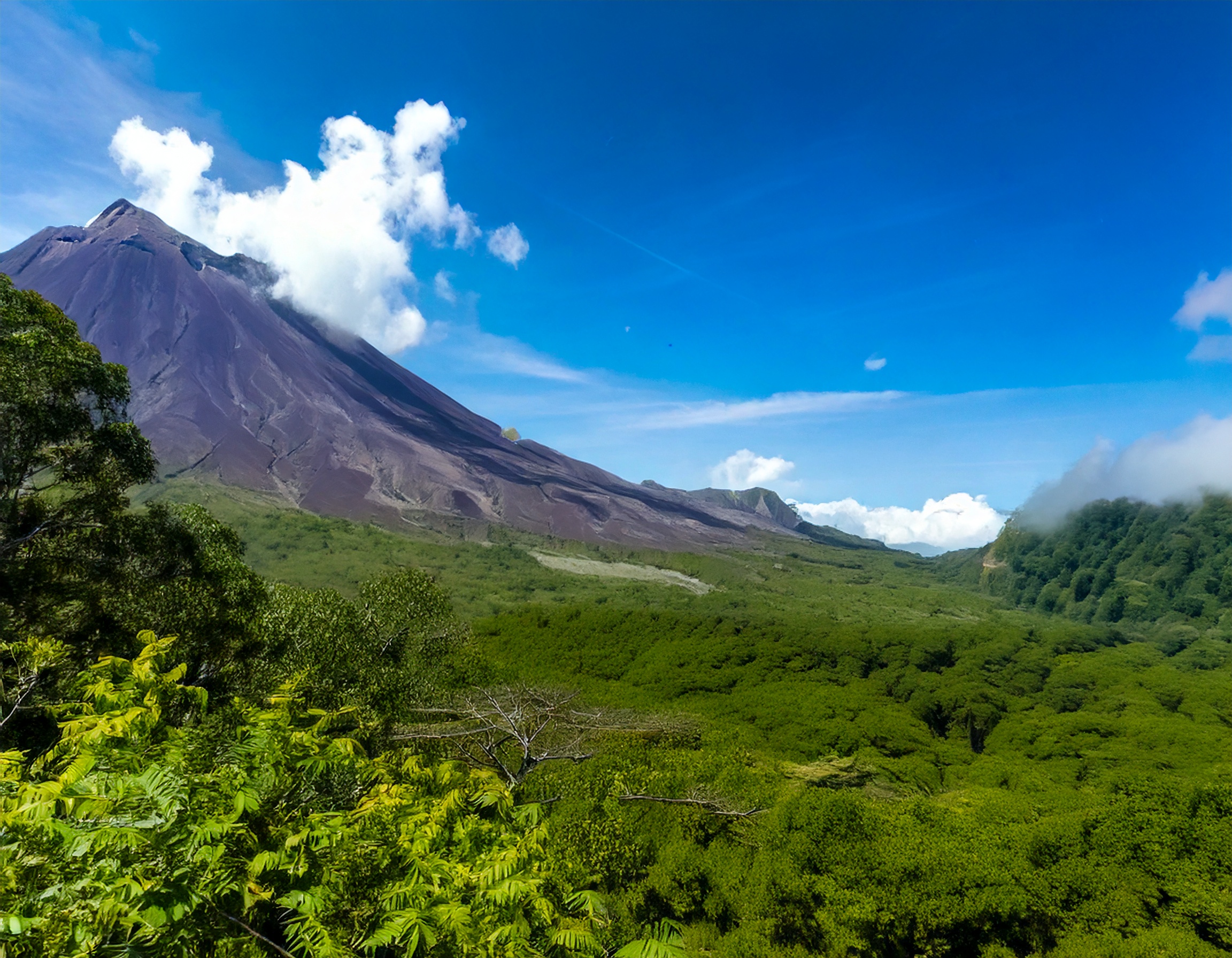 Vulcano Wolobobo 968176
